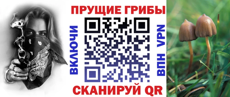 Псилоцибиновые грибы Psilocybe  блэк спрут   Обоянь  где можно купить наркотик 